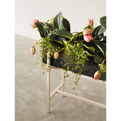 Design House Stockholm - Botanic Blumenkasten Design House Stockholm - Botanic Blumenkasten