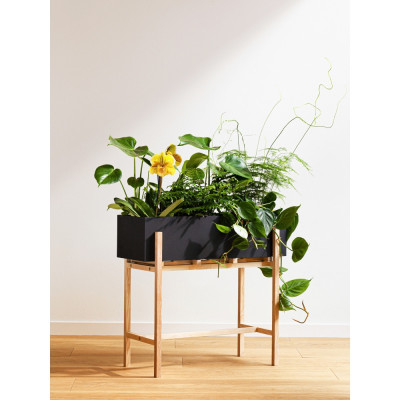 Design House Stockholm - Botanic Blumenkasten Design House Stockholm - Botanic Blumenkasten