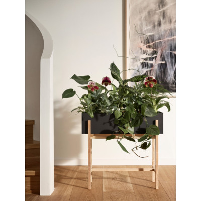 Design House Stockholm - Botanic Blumenkasten Design House Stockholm - Botanic Blumenkasten