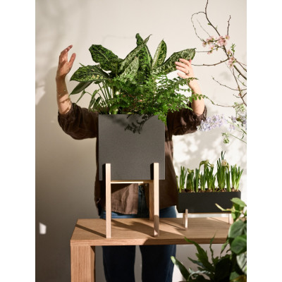 Design House Stockholm - Botanic Blumentopf hoch Design House Stockholm - Botanic Blumentopf hoch