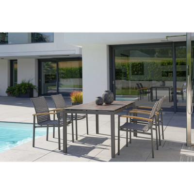 Stern - Lucy Stapelsessel Stern - Lucy Stapelsessel