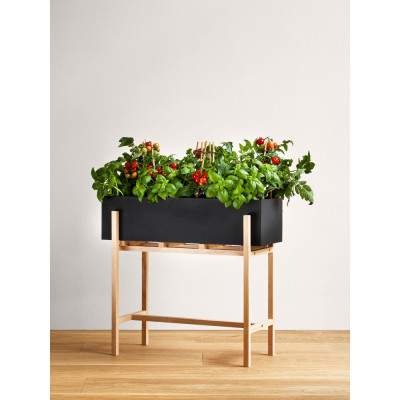 Design House Stockholm - Botanic Blumenkasten Design House Stockholm - Botanic Blumenkasten