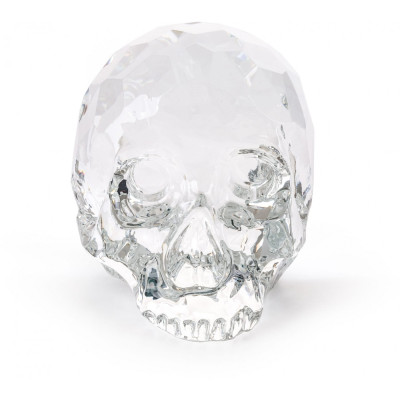 Seletti - The Hamlet Dilemma Totenkopf Limited Edition Seletti - The Hamlet Dilemma Totenkopf Limited Edition