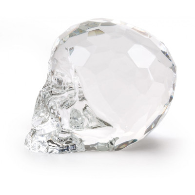 Seletti - The Hamlet Dilemma Totenkopf Limited Edition Seletti - The Hamlet Dilemma Totenkopf Limited Edition