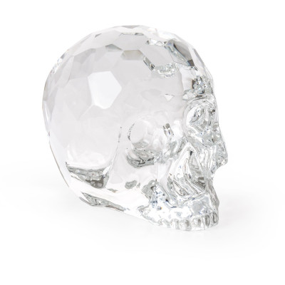 Seletti - The Hamlet Dilemma Totenkopf Limited Edition Seletti - The Hamlet Dilemma Totenkopf Limited Edition