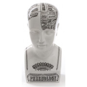 Seletti - By Petrantoni Phrenology Skulptur