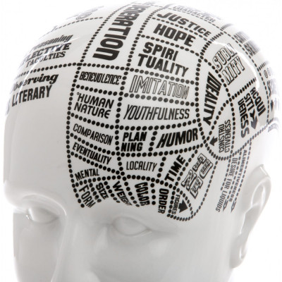 Seletti - By Petrantoni Phrenology Skulptur Seletti - By Petrantoni Phrenology Skulptur