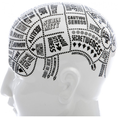 Seletti - By Petrantoni Phrenology Skulptur Seletti - By Petrantoni Phrenology Skulptur