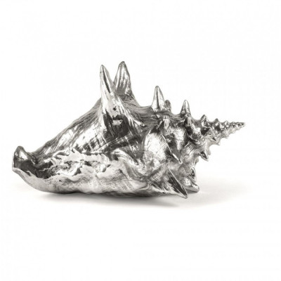 Seletti Diesel - Wunderkammer Muschel Deko Seletti Diesel - Wunderkammer Muschel Deko