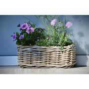 Jan Kurtz - Palau Pflanzenkasten