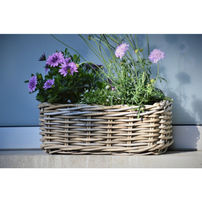 Jan Kurtz - Palau Pflanzenkasten Jan Kurtz - Palau Pflanzenkasten