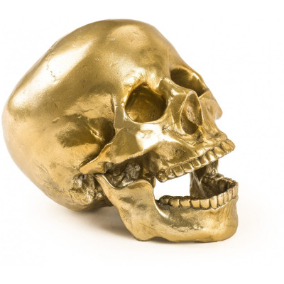 Seletti Diesel - Wunderkammer Human Skull Deko Seletti Diesel - Wunderkammer Human Skull Deko