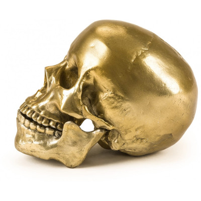 Seletti Diesel - Wunderkammer Human Skull Deko Seletti Diesel - Wunderkammer Human Skull Deko