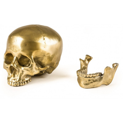 Seletti Diesel - Wunderkammer Human Skull Deko Seletti Diesel - Wunderkammer Human Skull Deko