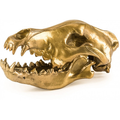 Seletti Diesel - Wunderkammer Wolf Skull Deko Seletti Diesel - Wunderkammer Wolf Skull Deko
