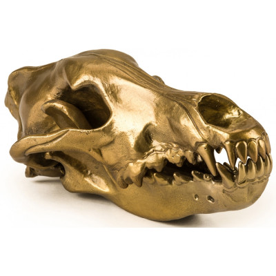 Seletti Diesel - Wunderkammer Wolf Skull Deko Seletti Diesel - Wunderkammer Wolf Skull Deko