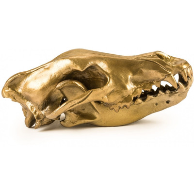 Seletti Diesel - Wunderkammer Wolf Skull Deko Seletti Diesel - Wunderkammer Wolf Skull Deko