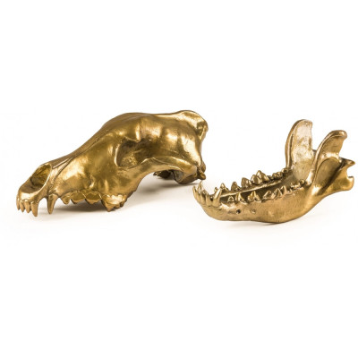 Seletti Diesel - Wunderkammer Wolf Skull Deko Seletti Diesel - Wunderkammer Wolf Skull Deko