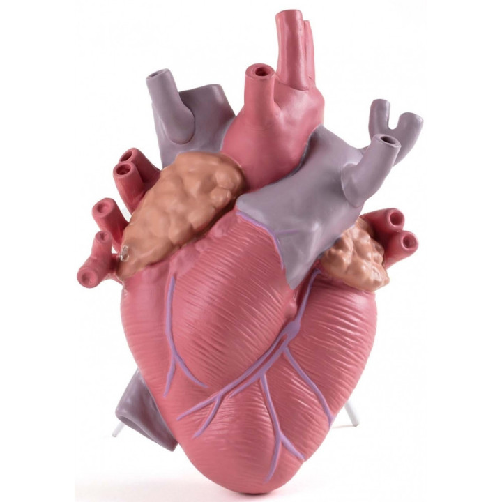 Seletti - Love In Bloom Color Heart Vase Seletti - Love In Bloom Color Heart Vase