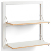 Ambivalenz - Fläpps Regal 80x80-2 cm| 2 Flächen