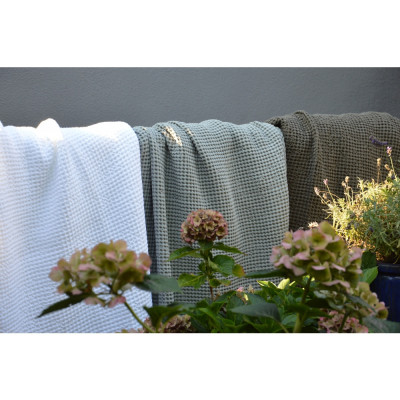 Jan Kurtz - Alba Decke Jan Kurtz - Alba Decke