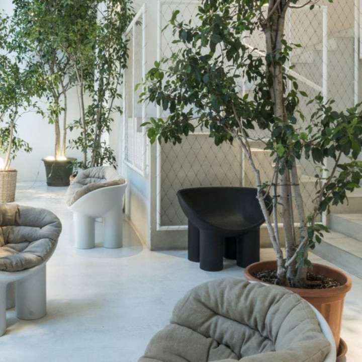 Driade - Roly Poly Sessel Driade - Roly Poly Sessel