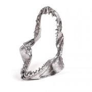 Seletti Diesel - Wunderkammer Hai Kiefer Deko