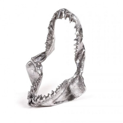 Seletti Diesel - Wunderkammer Hai Kiefer Deko Seletti Diesel - Wunderkammer Hai Kiefer Deko